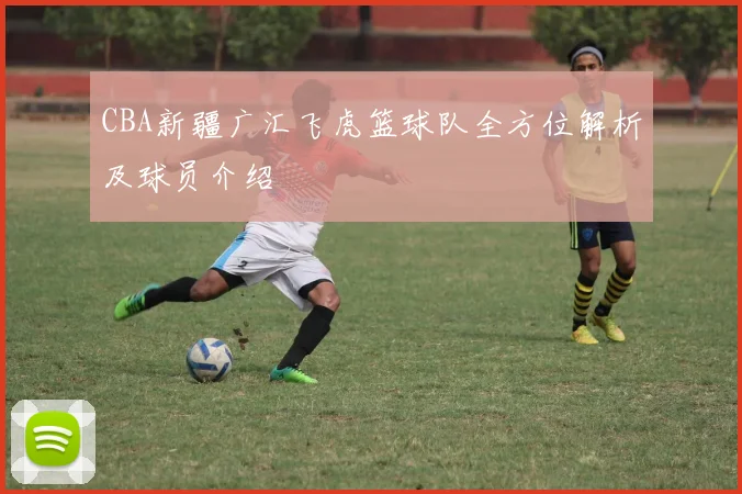 CBA新疆广汇飞虎篮球队全方位解析及球员介绍