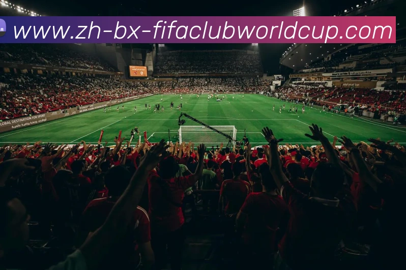 世界杯赛程平台生态图