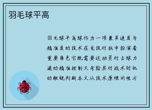 羽毛球平高